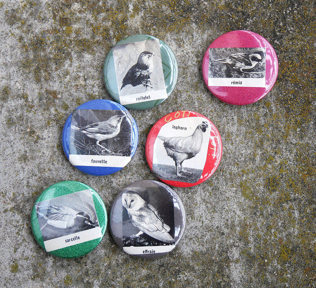 Badges 37mm de récup d'un dictionnaire Larousse de 1971 - Oiseaux