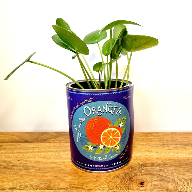 Seville Oranges Retro Style Storage Tin