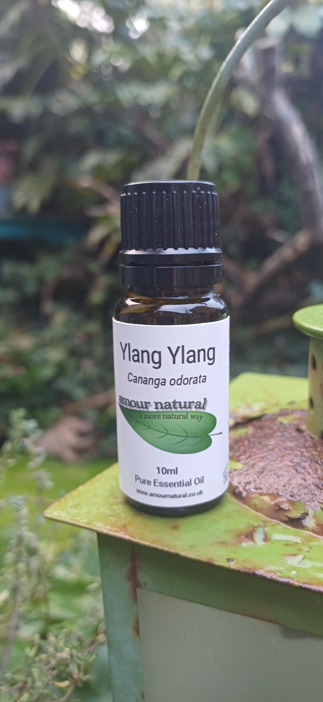 Ylang Ylang Essential Oil 