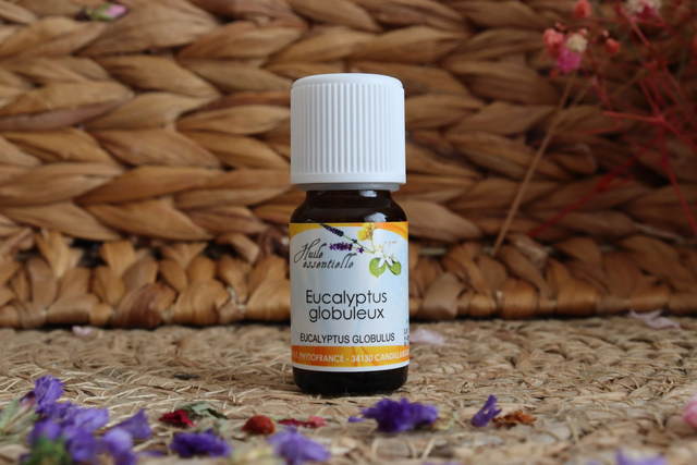 Huile Essentielle Eucalyptus Globuleux BIO 10ml (Eucalyptus Globulus)