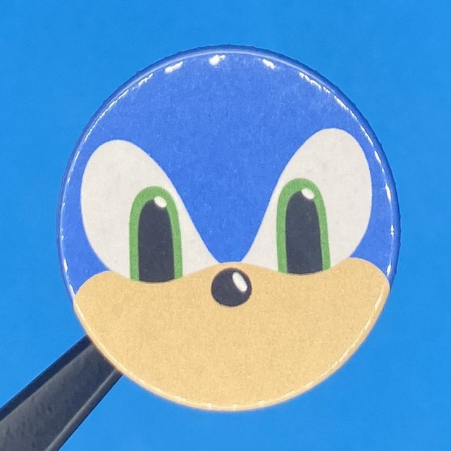 STH: sonic mugshot