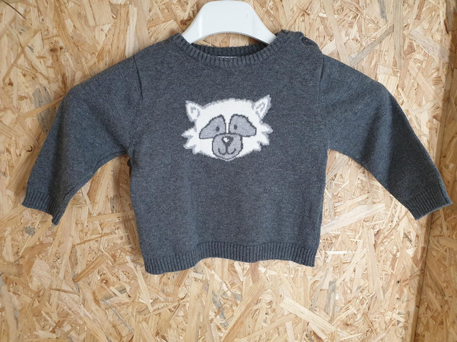 Pull raton laveur 12 mois