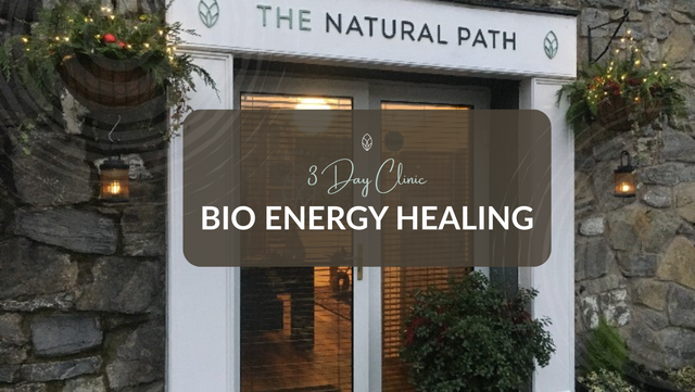 BIO ENERGY 3 Day Clinic // 3 Treatments // 3 Consecutive Days