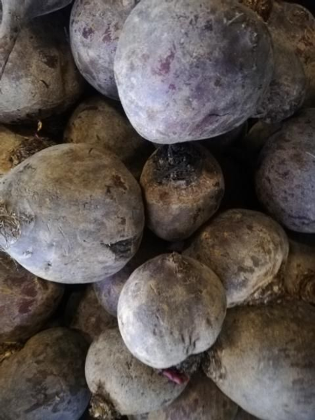 Rote Beete 5 Kg