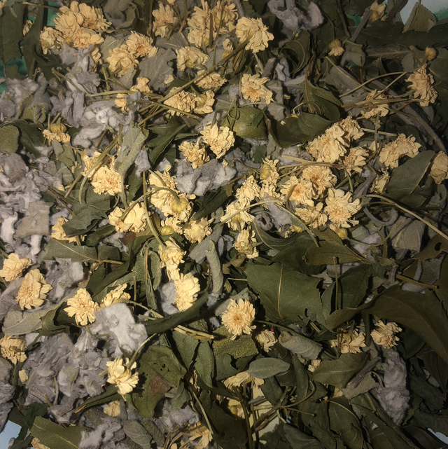 Tisane Glouton Bio - Soutient à la digestion Sachet Kraft à fenêtre 25G