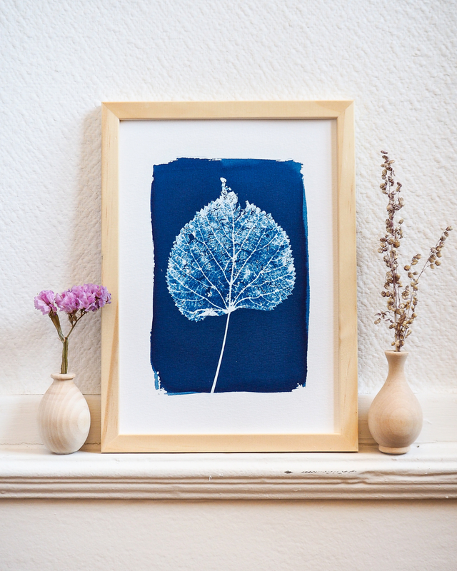 Squelette de feuille morte