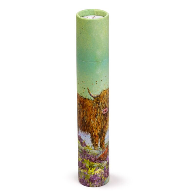 Large Colouring Pencil Tube - Jan Pashley Highland Coo