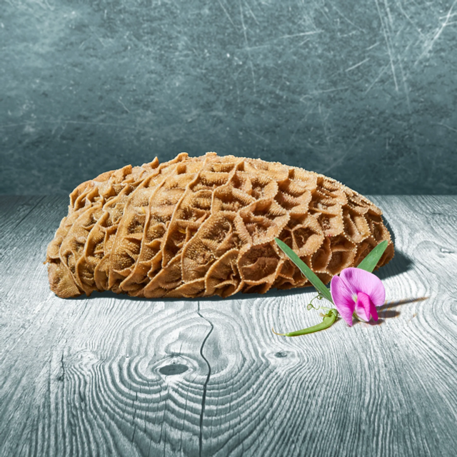 Rinderpansen im Stück 1000g