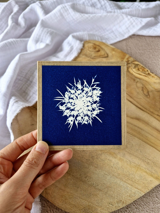💙 Mini CyanÔ - Les mignonneries - Ombelle S