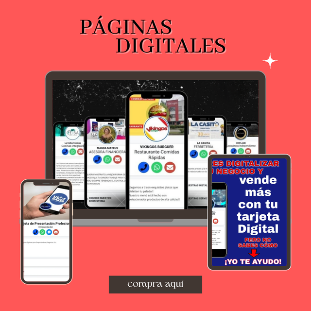 FRANQUICIA MAYORISTA