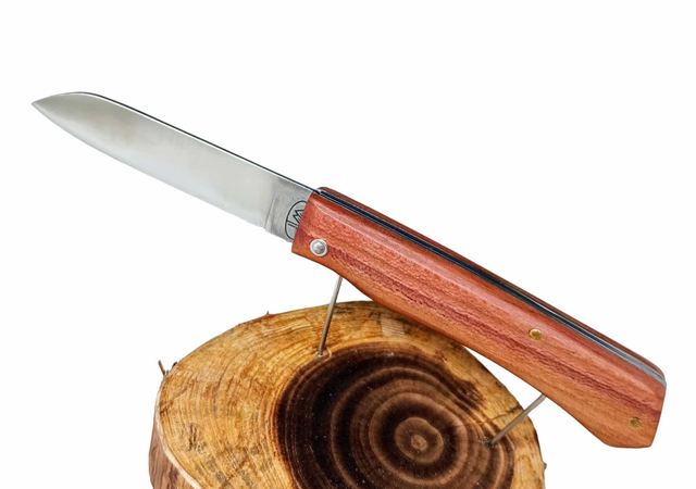 Le petit Ambacien ®™ acier en Pommier