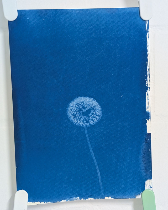 Pusteblume