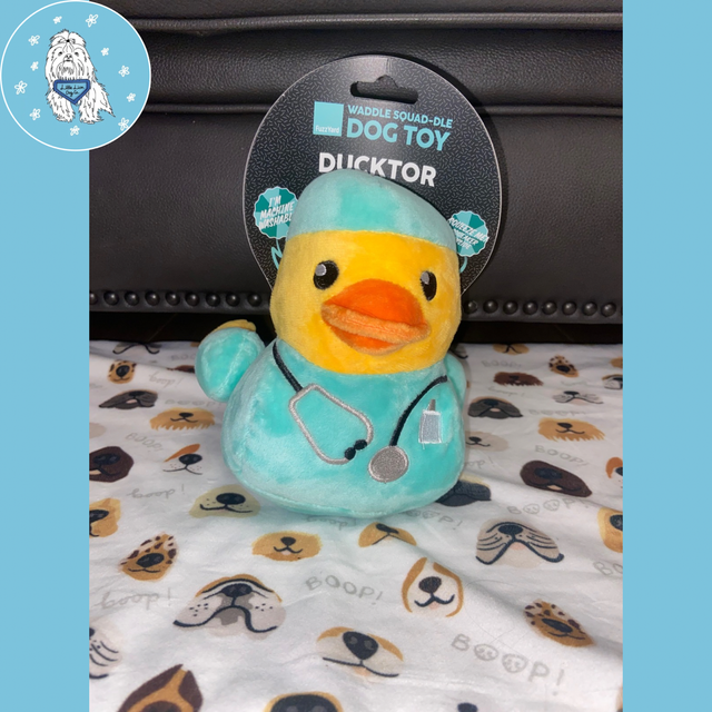 Fuzzyard Ducktor plush dog toy