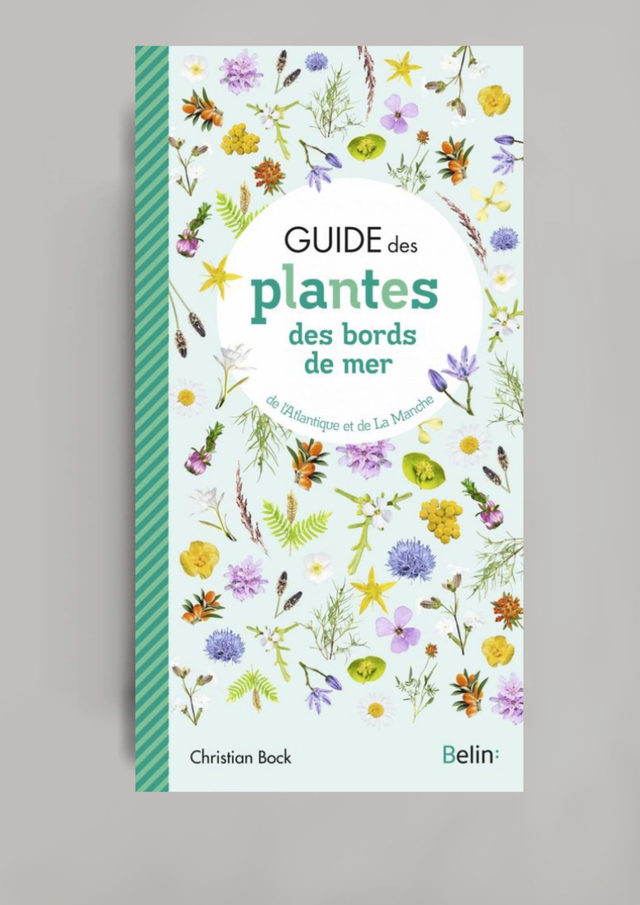 Guide des plantes des bords de mer de l&#039;Atlantique et de la Manche (BELIN:)