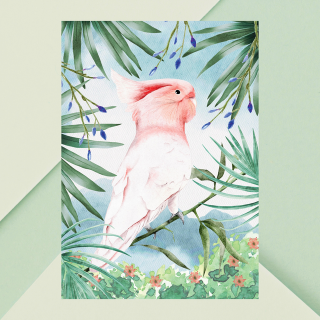 Impression Cacatoès de Leadbeater dans la Forêt Tropicale -  Faune Exotique / Leadbeater's Cockatoo in Tropical Forest Print - Exotic Wildlife 