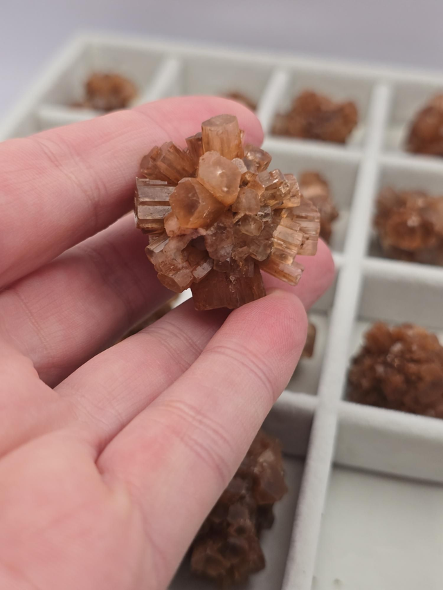 Aragonite forme cristaux