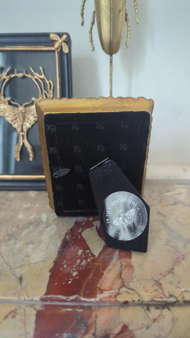 Cadre doré rectangulaire - scarabée