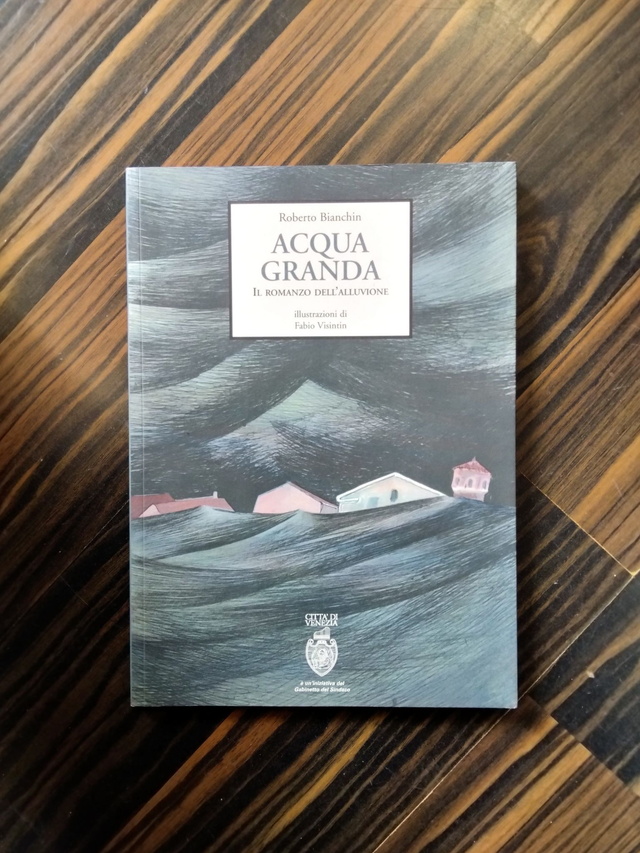 Roberto Bianchin &amp; Fabio Visintin - Acqua Granda (Marsilio, 2016)