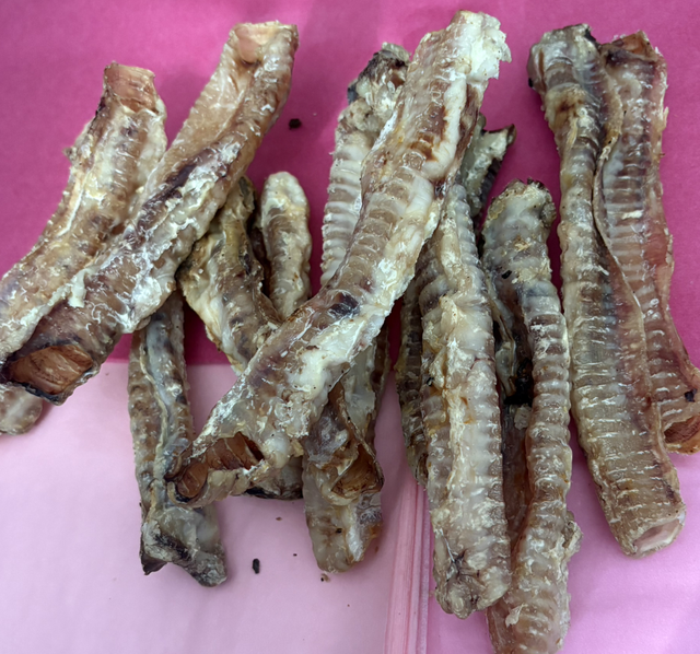 Lamb Trachea