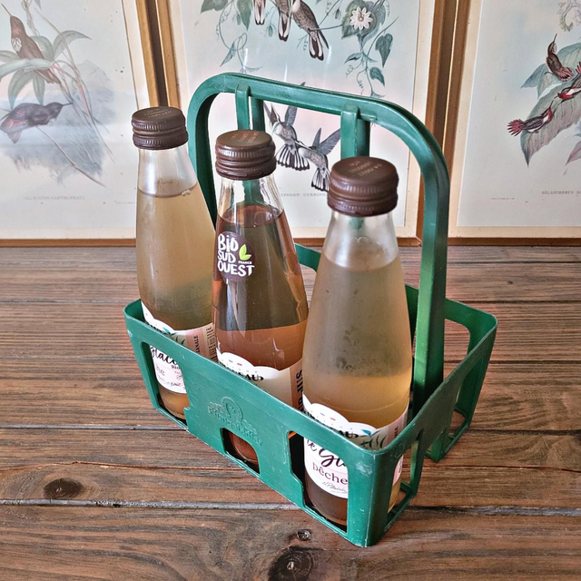 Panier vintage range bouteilles plastique vert Pfungstädter