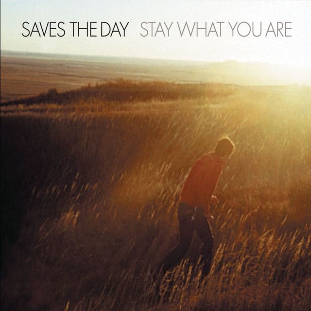 Saves the Day - Stay What You Are 2x10&quot; (Limited Edition White with Yellow / Red Splatter Vinyl)