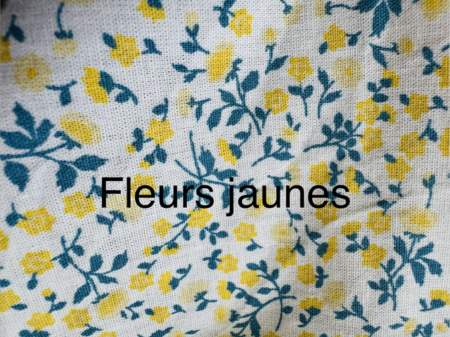 Fleurs jaunes