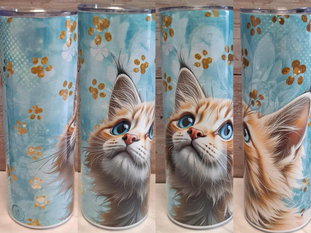 Gourde canette Maine coon