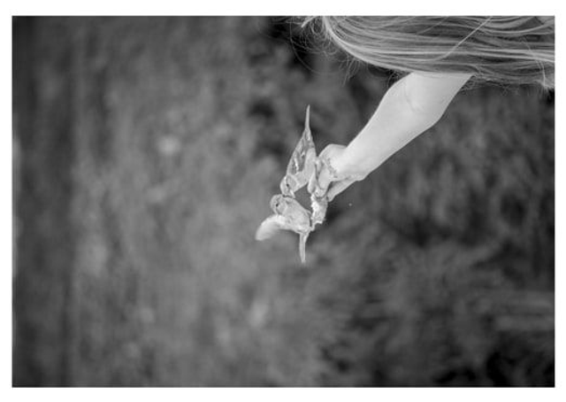 Carte Postale - Série Noir &amp; Blanc