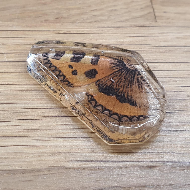Tortoiseshell butterfly glass badge 