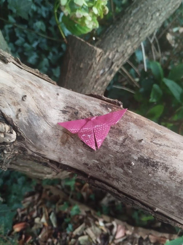 Broche en forme de papillon de couleur fuchsia et à pois dorés