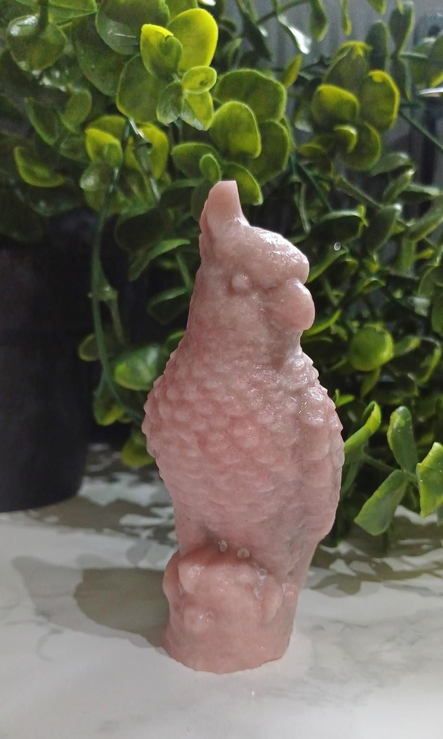 Pink Opal Parrot