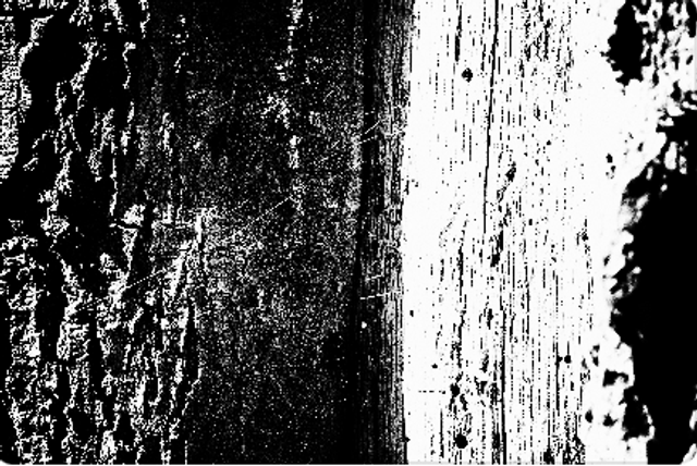 Mokuhi (Ecorce d’arbre)