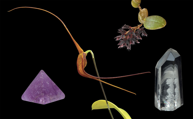 Knowing Combination Essence