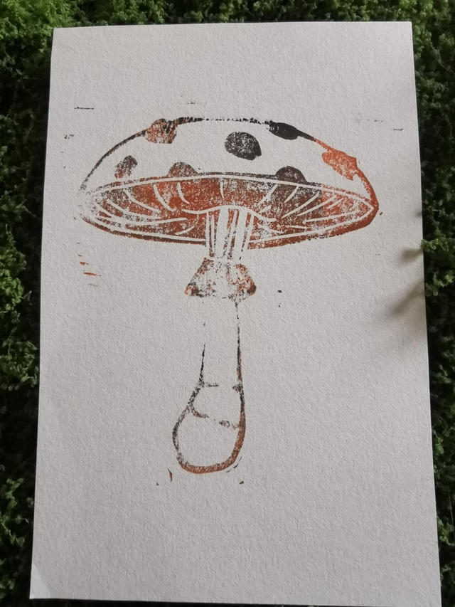 Champignon bicolor orange &amp; noir