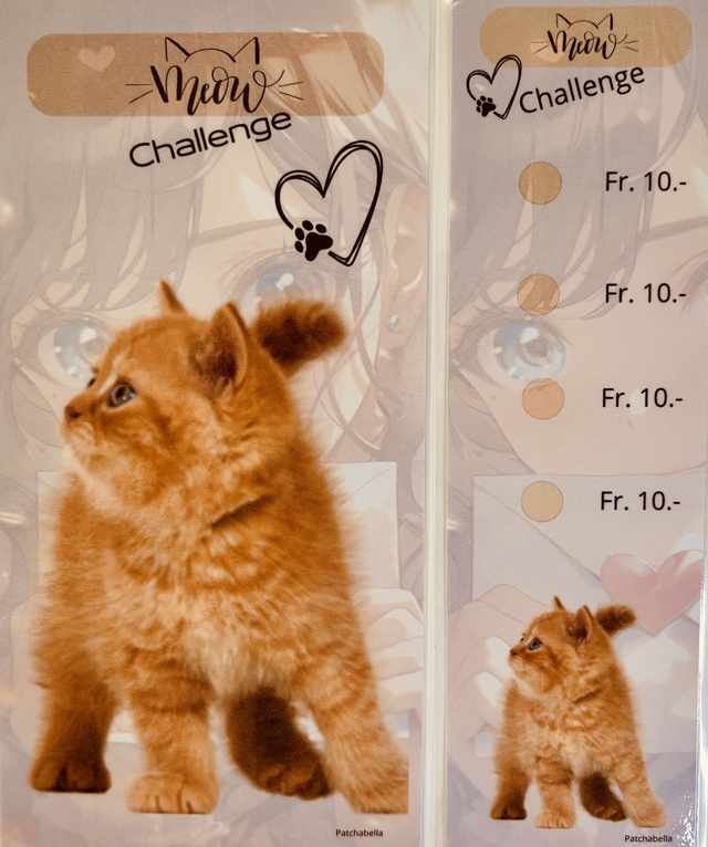 Miaou 5