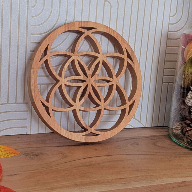 Graine de vie en hêtre