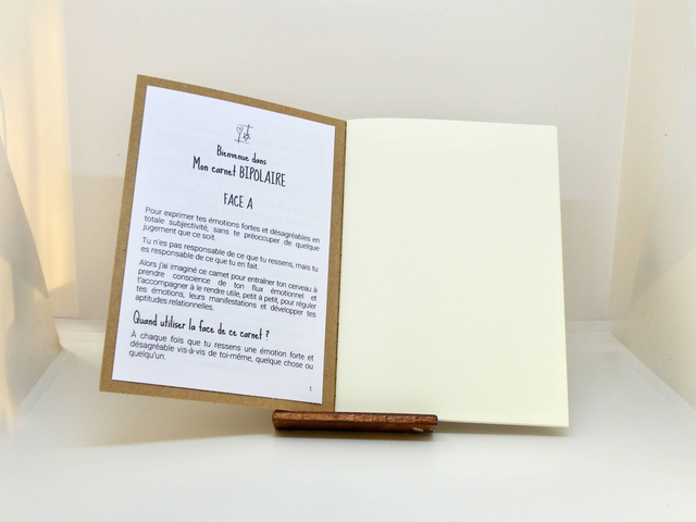 Mon cahier Bipolaire