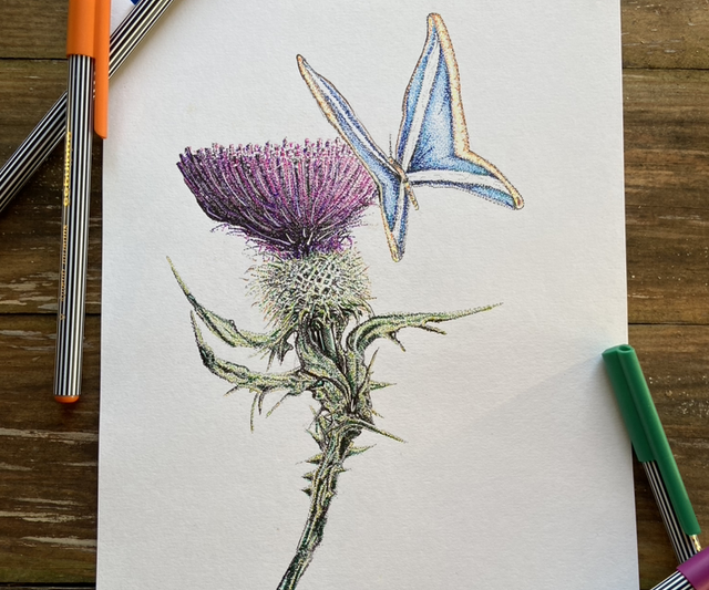 Flower of Scotland 
