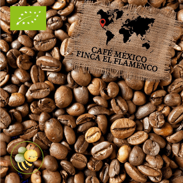Café México “Finca El Flamingo” BIO