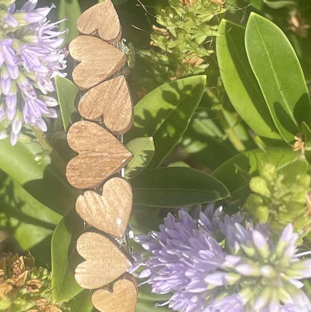 Barrette cœurs 1 