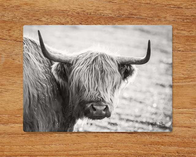 "Highland Cow" Glass Worktop Saver  