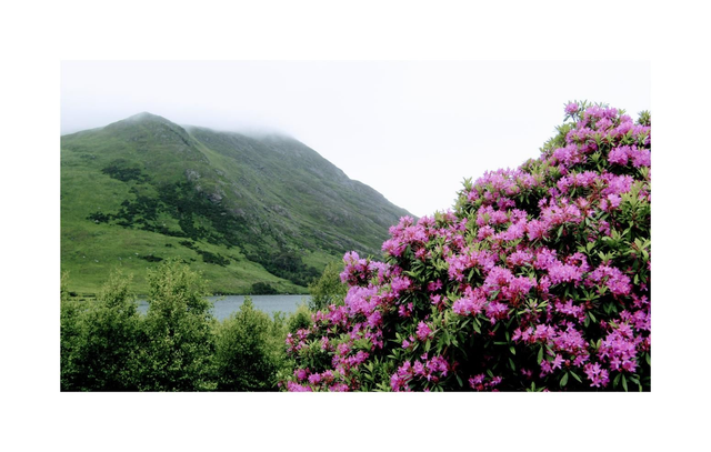 The Delphi Valley, County Mayo. 5" x 7 " Blank Greeting card with envelope. includes postage to all of Ireland.

