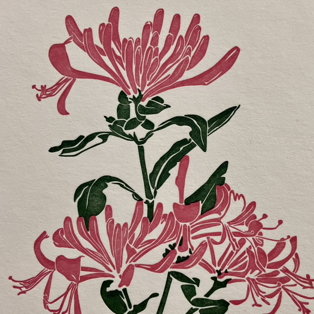 Traditional Letterpress Floral Honeysuckle 