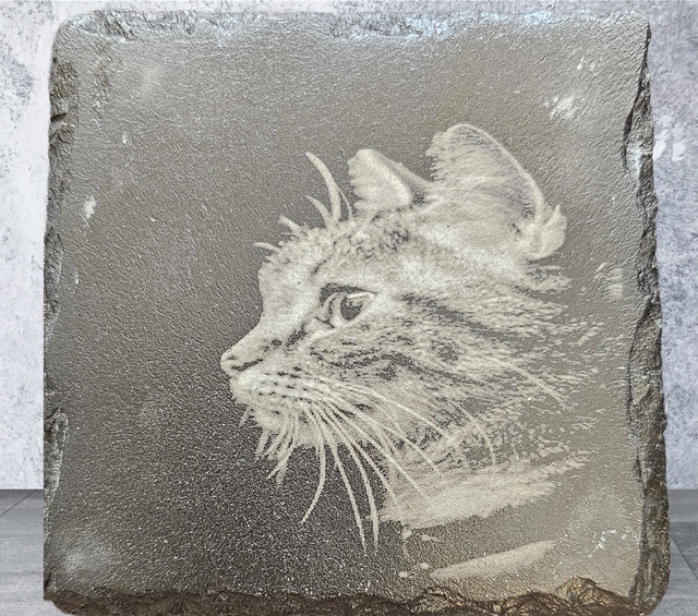 Slate Coaster - Cat