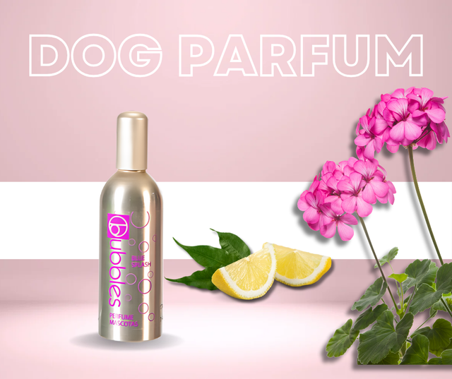 Bubbles® Hundeparfüm "Blue Splash"