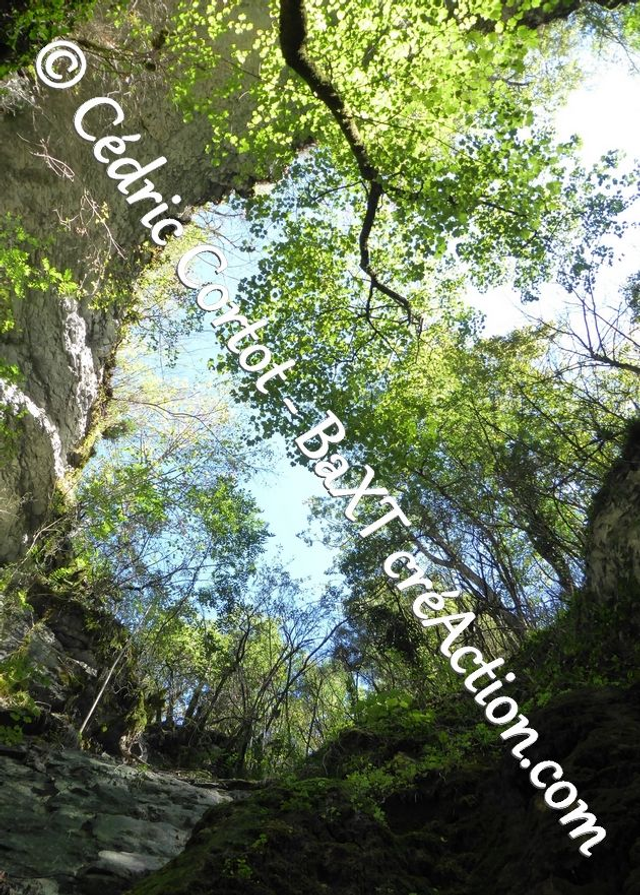 Carte postale - Paysages et divers (Ref P1170264)