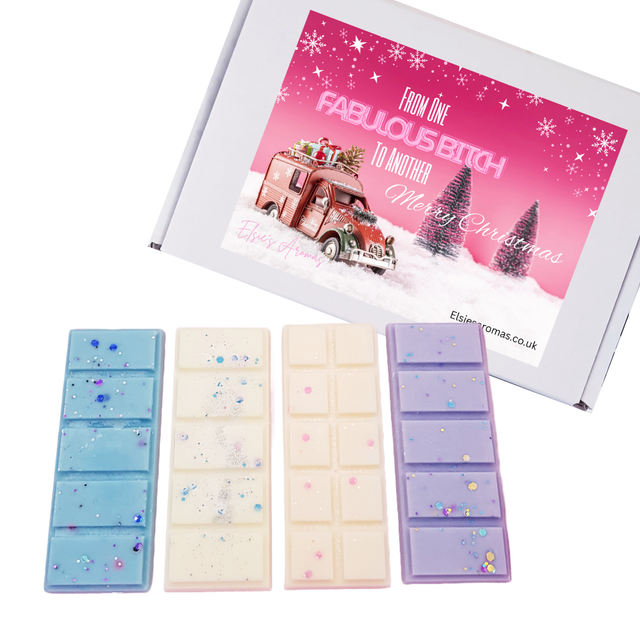 MERRY CHRISTMAS GIFT BOX FROM ONE FABULOUS B*TCH TO ANOTHER