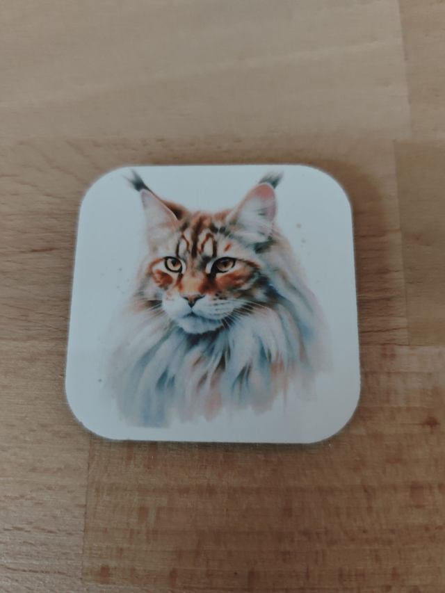 Magnet chat Maine Coon