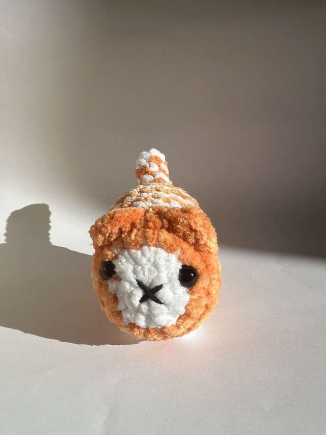 Chat - Petit 🐈‍⬛ 