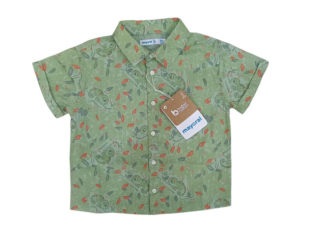 Chemise verte caméléon